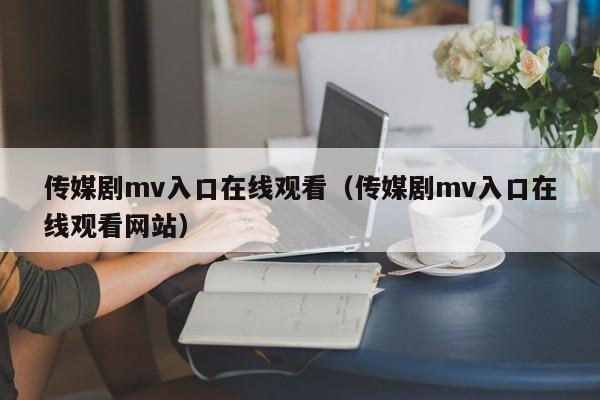 传媒剧mv入口在线观看(传媒剧mv入口在线观看网站)