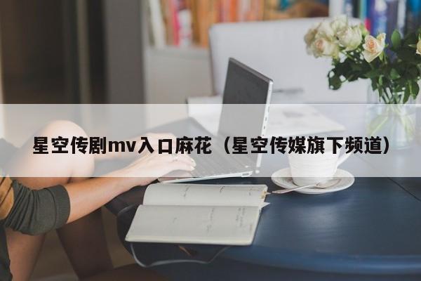 星空传剧mv入口麻花(星空传媒旗下频道)