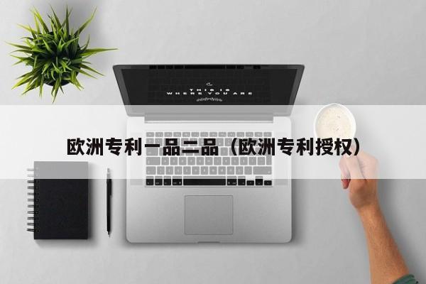 欧洲专利一品二品(欧洲专利授权)