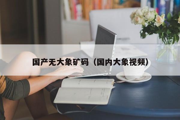 国产无大象矿码(国内大象视频)