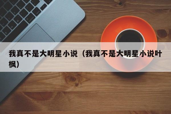 我真不是大明星小说(我真不是大明星小说叶枫)