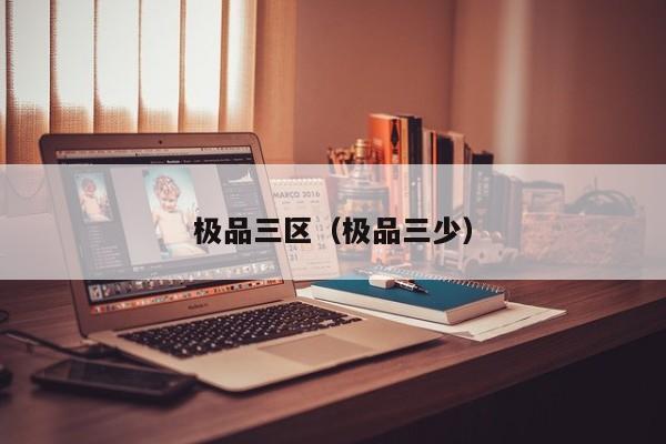 极品三区(极品三少)