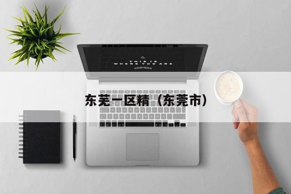 东芜一区精(东莞市)